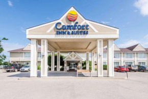 Comfort Inn & Suites Collingwood Collingwood